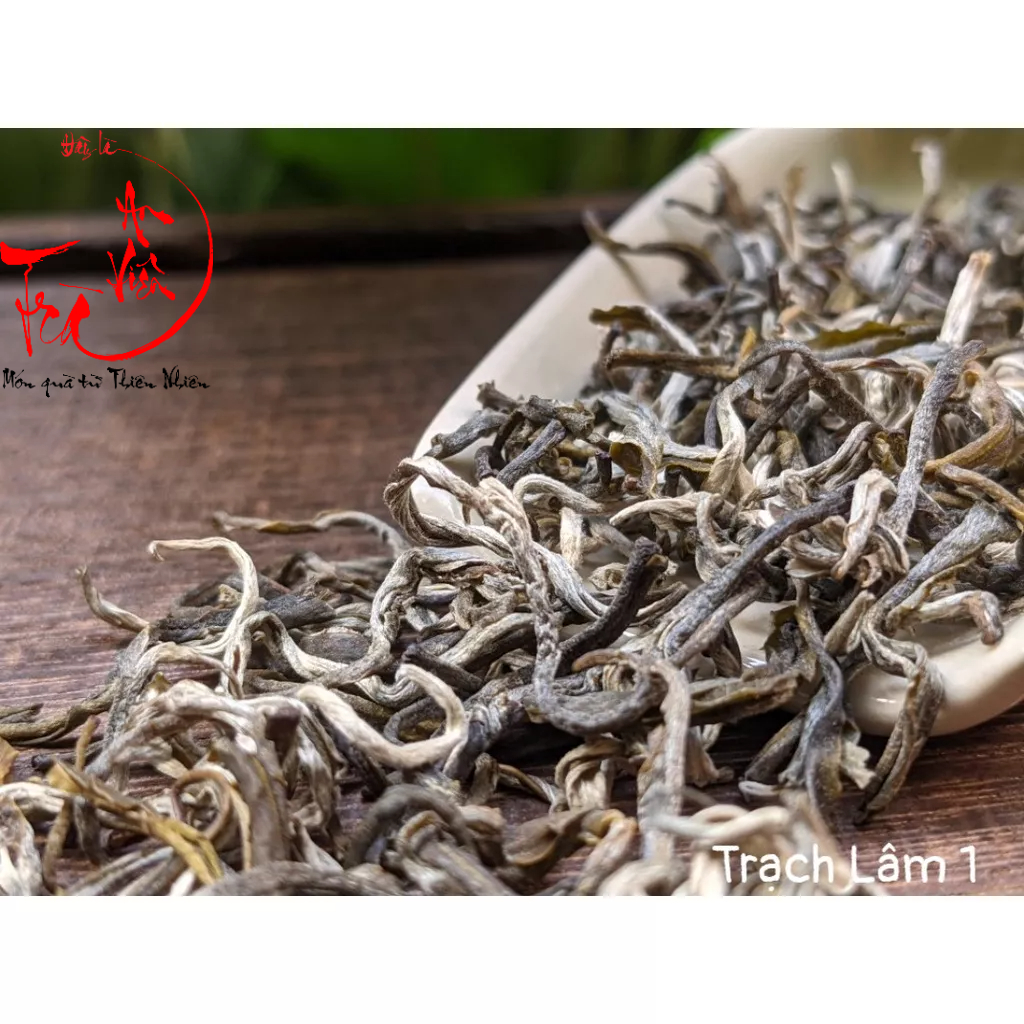 Trà xanh Trạch Lâm B - Trà Shan Tuyết cổ thụ Suối Giàng, Yên Bái 1 búp 2 lá