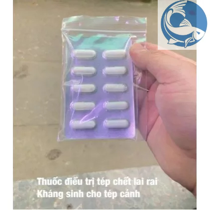 Viên con nhộng đặc trị cá tép chết lai rai Aquarium 1