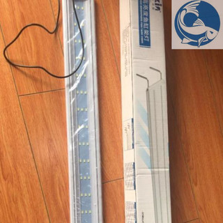 Đèn Led Roxin ánh sáng trắng