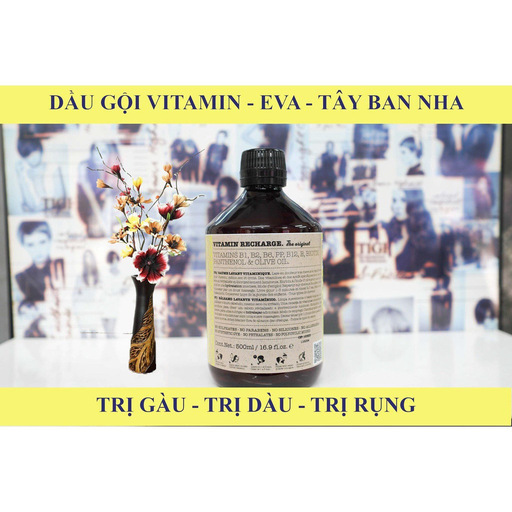 Dầu Gội Vitamin Tây Ban Nha 500ml Dành Cho Tóc Khô Hư Tổn