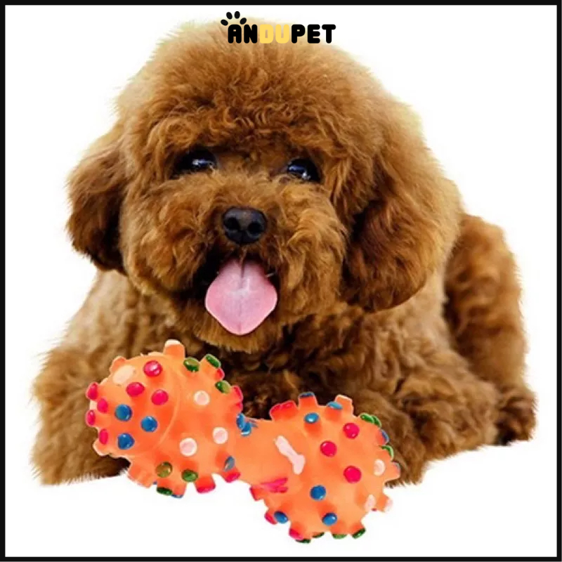 Xương gặm cao su kêu bíp bíp hình quả tạ, đồ chơi cho chó mèo