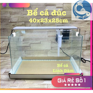 Bể kính đúc uốn góc Bể cá cảnh | Hồ thủy sinh