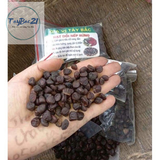 1 lạng hạt dổi rừng hạt dổi nếp chuẩn gia vị núi rừng Tây Bắc