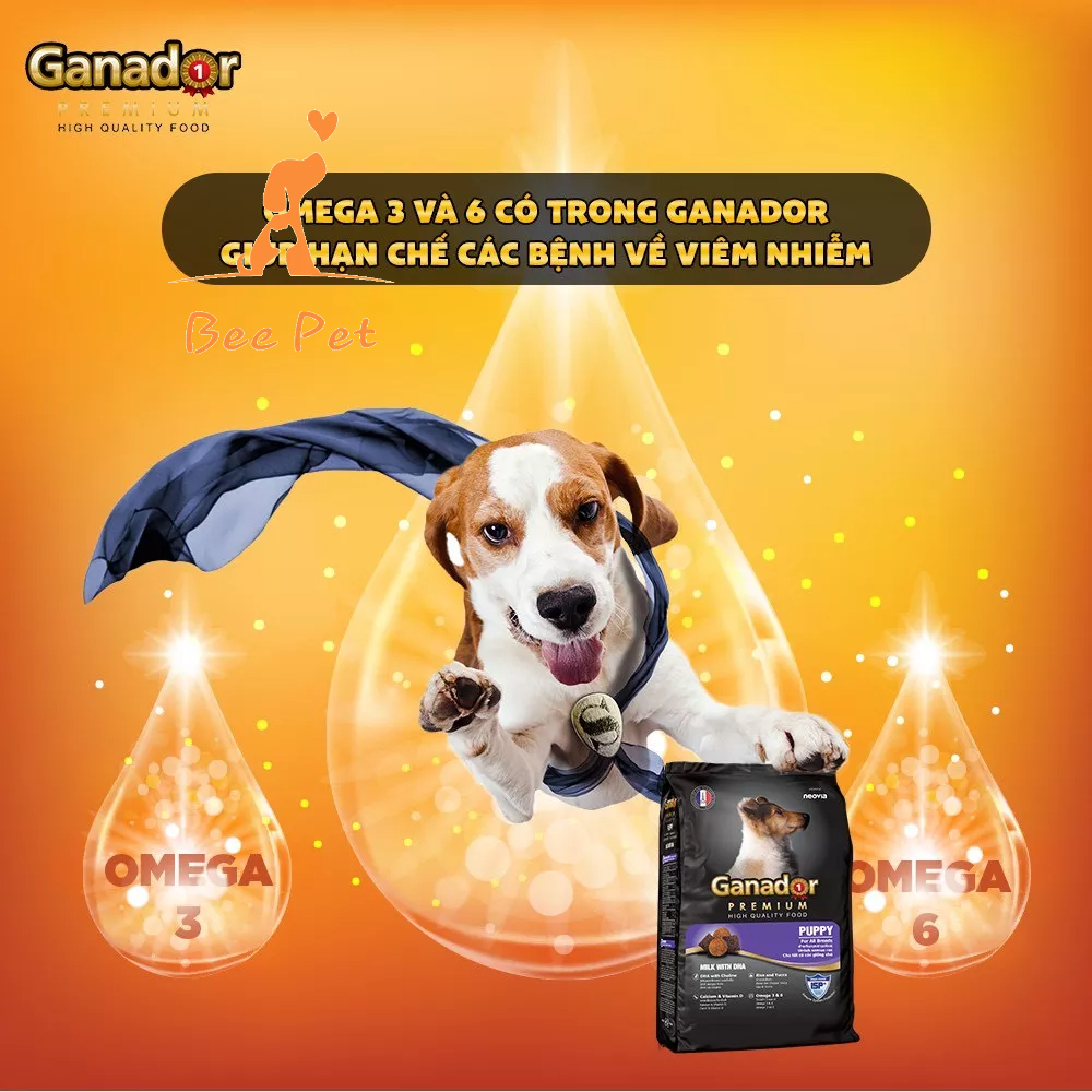 Hạt cho chó Ganador 3kg - thức ăn cho chó con và chó trưởng thành đủ vị