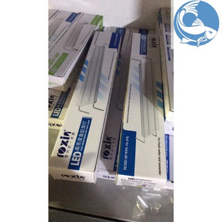 Đèn Led Roxin ánh sáng trắng