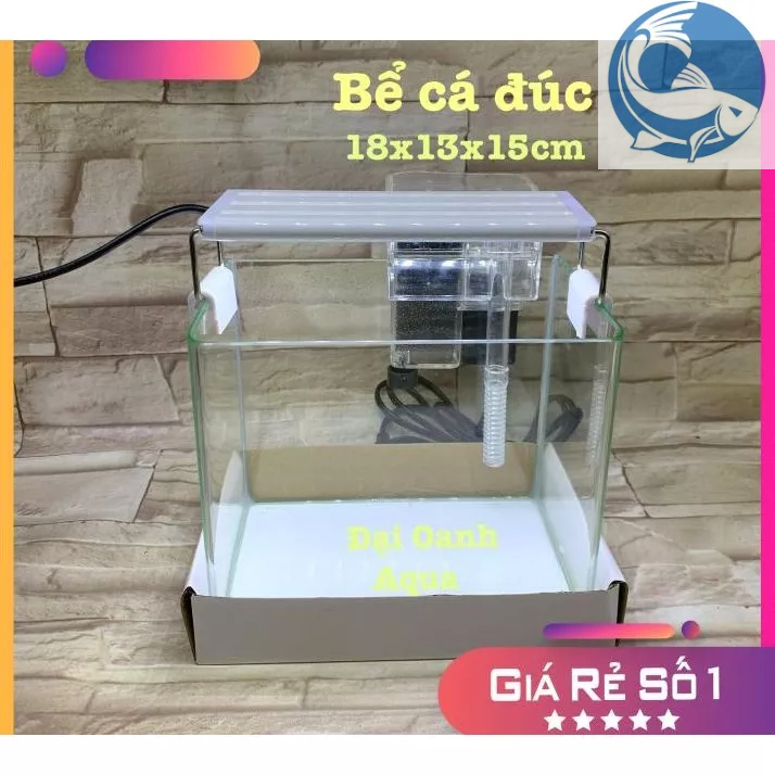 Bể kính đúc nhập khẩu bo cong cạnh mài vi tính kích thước 18*13*18 cm | hồ đúc | bể kính nuôi cá