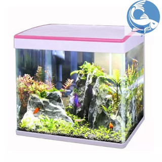 Bể kính đúc uốn góc [Kích thước: 357*223*360 mm và 257*167*290 mm] Bể cá cảnh. Bể nhập khẩu Minjiang. Đã gồm lọc và đèn.
