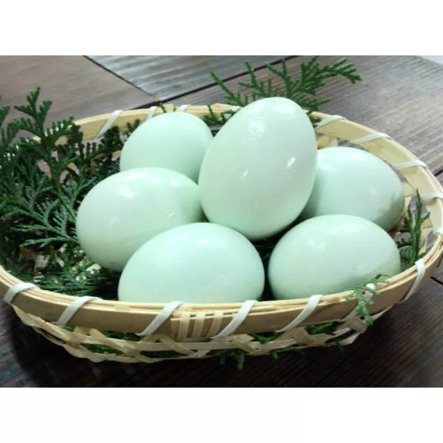 Bóng nhựa hình trứng gà