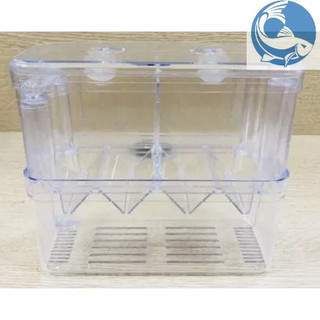 Lồng Đẻ Mica Nhiều Size Dành Cho Cá Cảnh