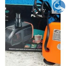 Máy Bơm Periha PD 4200-5200-6200-7200-8200 Thế Hệ Mới