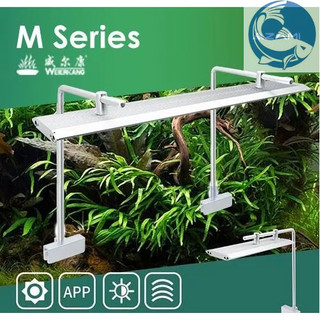 Đèn week raptor wrgb m450, m600, m900, m1200 pro bảo hành 1 năm