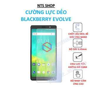 Dán cường lực dẻo bảo vệ màn hình Blackberry Evolve