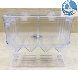 Lồng Đẻ Mica Nhiều Size Dành Cho Cá Cảnh