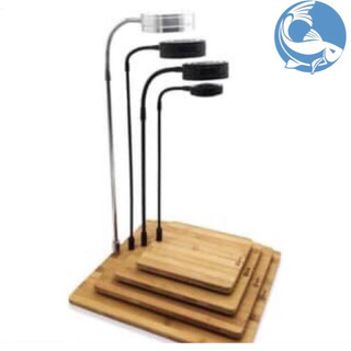 Đèn led rọi teranium đế gỗ tròn hoặc vuông cho hồ cá, terrarium