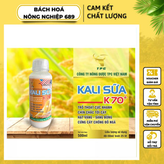 Kali sữa cao cấp - KHÔNG LO CHÁY LÁ - tăng năng suất hiệu quả , to hạt, nặng ký, chín chắc tới cậy , chống đổ ngã
