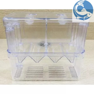 Lồng Đẻ Mica Nhiều Size Dành Cho Cá Cảnh