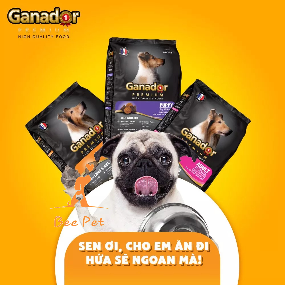 Hạt Ganador 400g - Thức ăn cho chó con và chó trưởng thành đủ vị