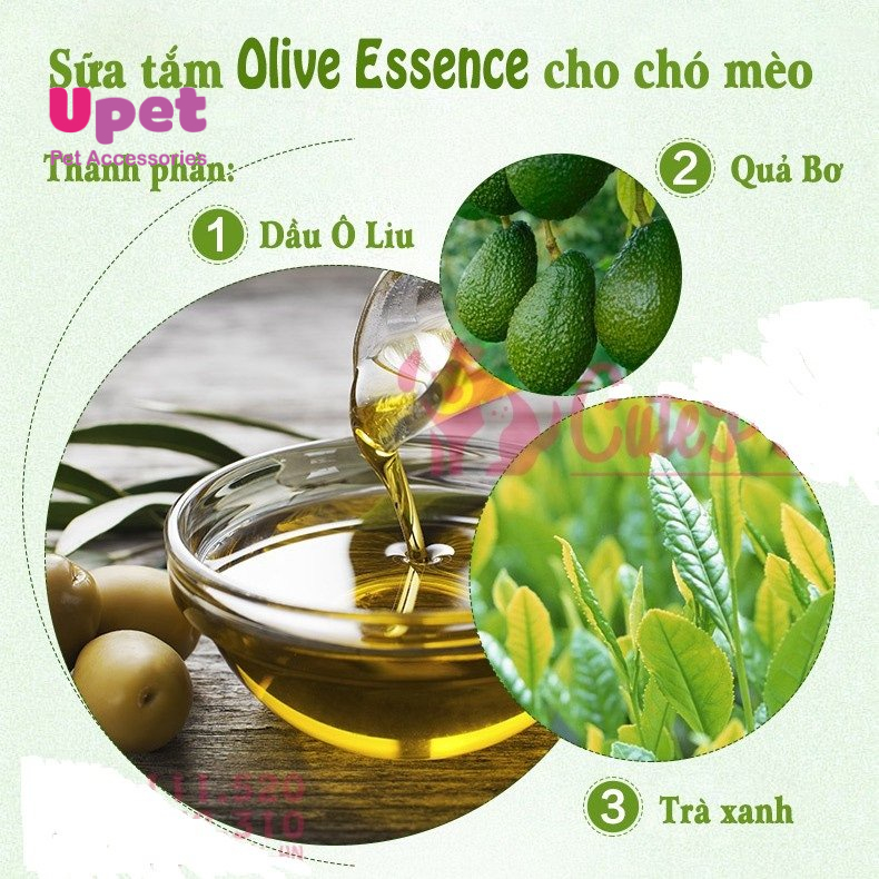 Sữa tắm chó mèo - Dầu tắm Olive 450ml giúp mền mượt lông, chăm sóc nuôi dưỡng lông, lưu hương lâu, an toàn khi sử dụng