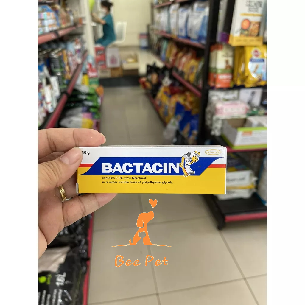 Kem bôi vết thương ngoài da thú cưng Bactacin 30g - xuất xứ Thái Lan