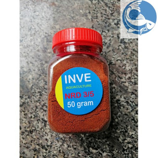 CÁM THÁI INVE 3/5 và 5/8, G12, P16 (cho cá nhỏ) Xuất Sứ Thái Lan