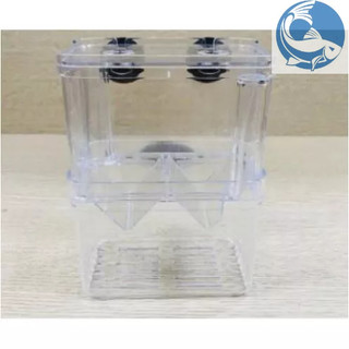 Lồng Đẻ Mica Nhiều Size Dành Cho Cá Cảnh