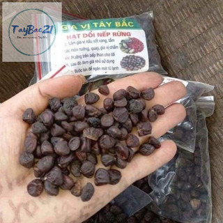 Hạt dổi nếp rừng Tây Bắc - hương vị chuẩn rừng