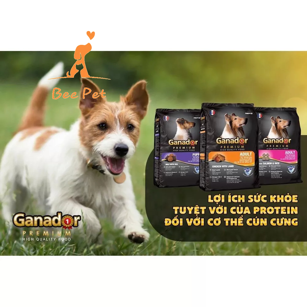 Hạt cho chó Ganador 3kg - thức ăn cho chó con và chó trưởng thành đủ vị