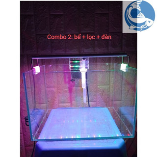 Combo bể cá đầy đủ đèn, lọc, bể kính về chỉ việc thả cá