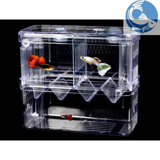 Lồng đẻ mica nhiều size dành cho cá cảnh