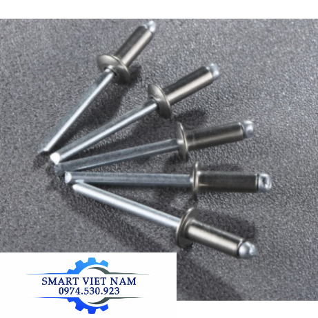 Đinh rút inox 304,Đinh rive inox,Combo 500 chiếc
