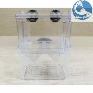 Lồng Đẻ Mica Nhiều Size Dành Cho Cá Cảnh