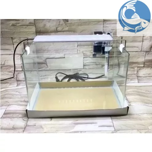 Bể Cá Chữ Nhật 35cm Kính Đúc Bo Góc Đẹp - Bể Cá Mini Dài 35cm*Rộng 20cm*Cao 23cm.