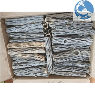 Lũa cholla bổ dung dưỡng chất cho bể tép, trang trí bể cá