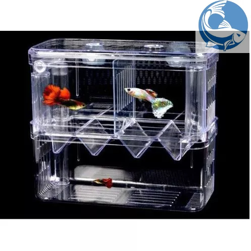 Lồng Đẻ Mica Nhiều Size Dành Cho Cá Cảnh