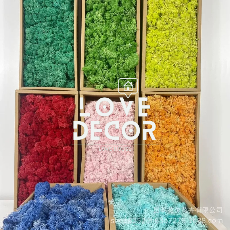 500gr - Rêu trang trí Decor