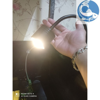 Đèn led rọi 3 chế độ