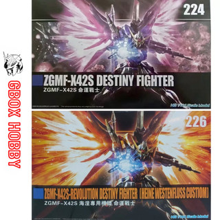 Gundam hg destiny 224 gundam wing effect zgmf-x42s clear mô hình đồ chơi lắp ráp 1/144