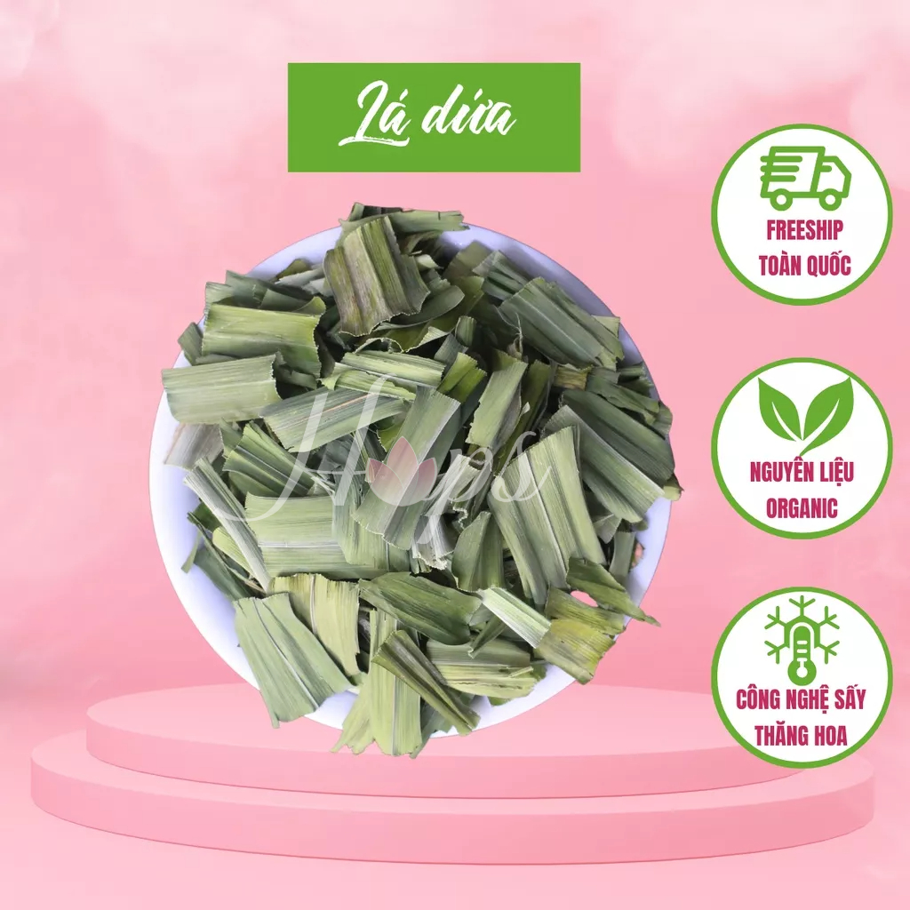 100g Lá Dứa Khô (Lá Nếp) Tự Nhiên Lá Nếp Thơm Sạch Ngon Hỗ Trợ Xương Khớp và Ổn Định Đường Huyết