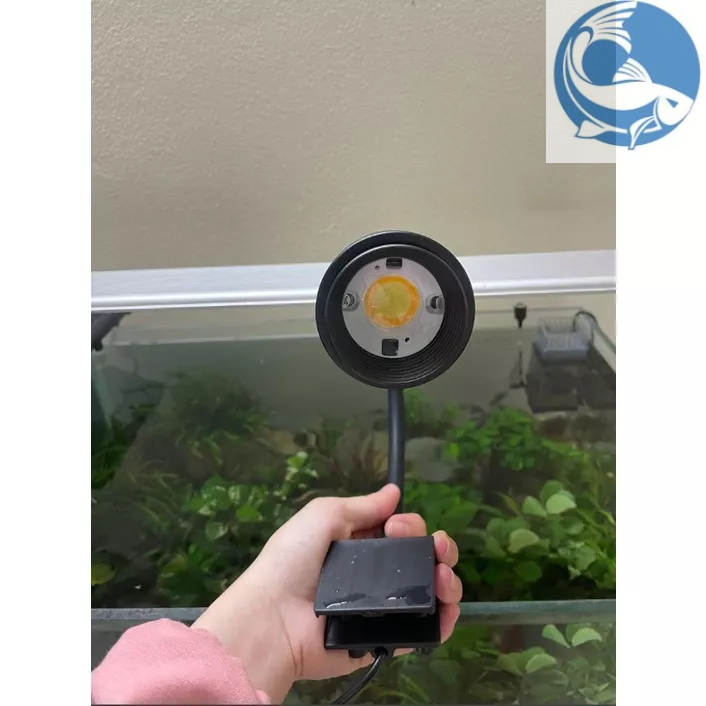 Đèn Led Rọi Spot Light Biotop 12W và 15W- 3 Chế Độ Sáng - Có Chỉnh Độ Tụ | Led Rọi Thế Hệ Mới Siêu Đẹp