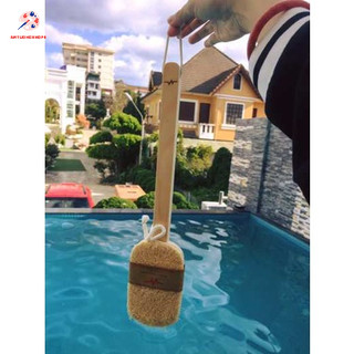 Cây cọ lưng bằng xơ mướp tự nhiên