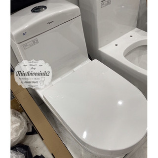 Nắp bồn cầu rơi êm thay thế Vigracela liền khối gắn vừa tất cả các mã cầu hiện nay
