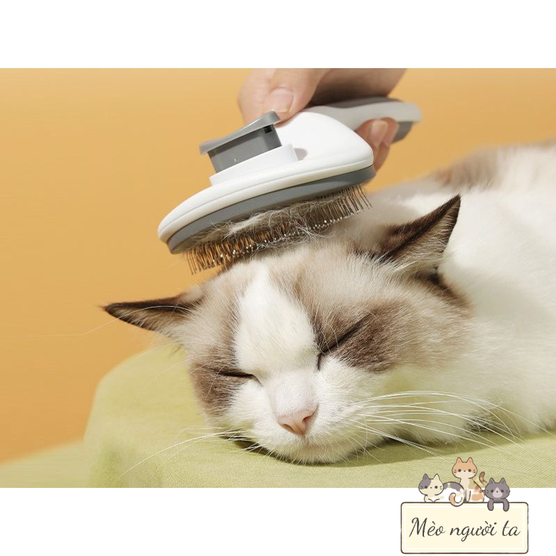 Lược chải lông cho mèo, chải lông có nút bấm
