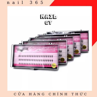 Mi chùm hồng 10d