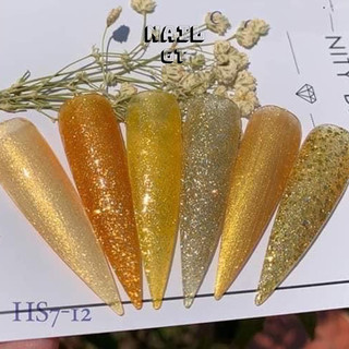 Sơn gel AS tone vàng HS ( chai đen )
