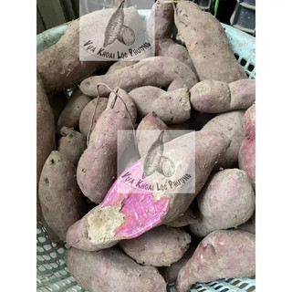 Combo 3kg & 1kg Khoai Lang Tím [Giao Hoả Tốc tại TPHCM & Toàn Quốc ->Đọc Mô Tả]
