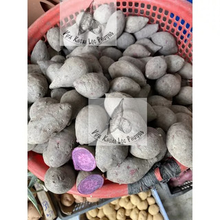 Combo 3kg & 1kg Khoai Lang Tím [Giao Hoả Tốc tại TPHCM & Toàn Quốc ->Đọc Mô Tả]
