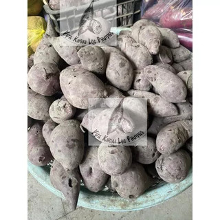 Combo 3kg & 1kg Khoai Lang Tím [Giao Hoả Tốc tại TPHCM & Toàn Quốc ->Đọc Mô Tả]