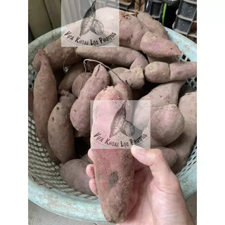 Khoai Lang Tím Củ Tươi (1kg) [Hoả Tốc tại TPHCM] Giao Toàn Quốc ->Đọc Mô Tả.
