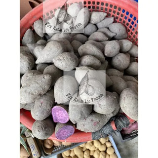 Khoai Lang Tím Củ Tươi (1kg) [Hoả Tốc tại TPHCM] Giao Toàn Quốc ->Đọc Mô Tả.
