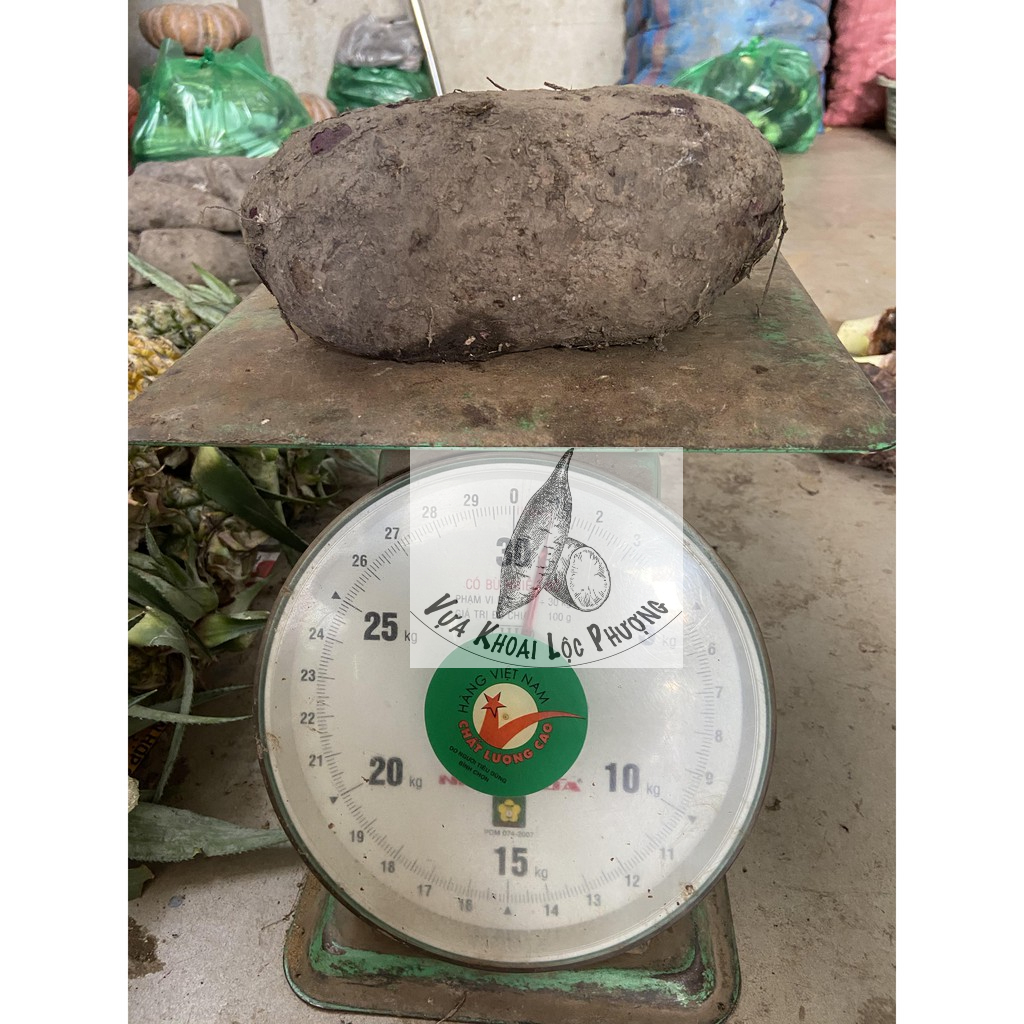 Khoai Mỡ Tím (1kg) ở TPHCM [GIAO HOẢ TỐC &amp; TOÀN QUỐC] (Purple Yam)